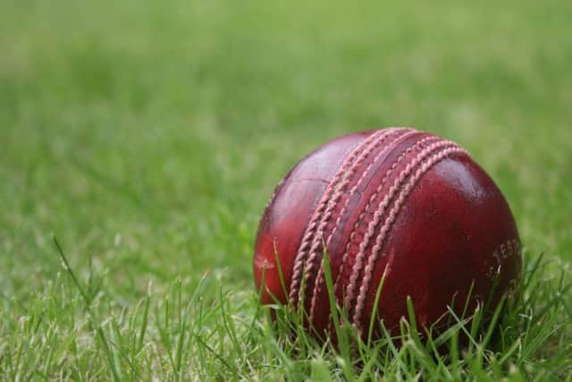 Cricket stock image PNL-190605-114644002