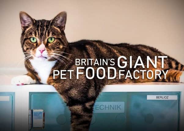 Britain's Giant Pet Food Factory, based at the Mars Petcare UK plants at Melton and Waltham, is to be screened on Channel 4 on Thursday August 1 at 9pm EMN-190729-115130001