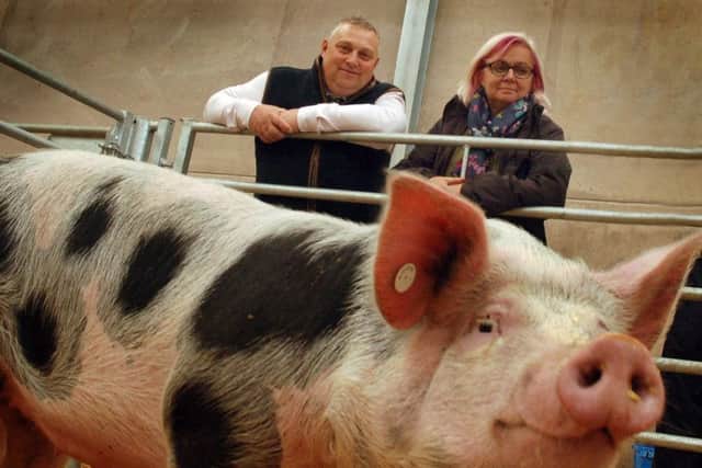 Former Melton market manager Tim Webster and steward Kim Arden admire a Pietrain pig at the 2018 Traditional Rare Breeds Show EMN-191109-125741001