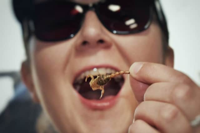 Frankie Devlin tastes a scorpion at the Rare Foods Festival EMN-190917-130155001