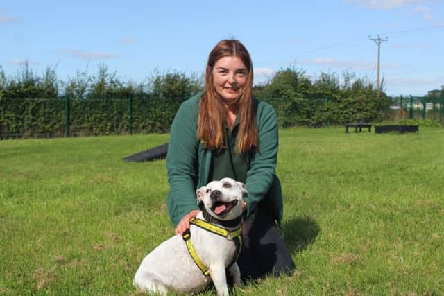 The Wymeswold-based Dogs Trust Loughborough is looking to rehome this 15-year-old Staffie called Lucy - the oldest Staffie staff have ever had to find a new home for. She is pictured here with canine carer Laura Parker EMN-190918-113136001