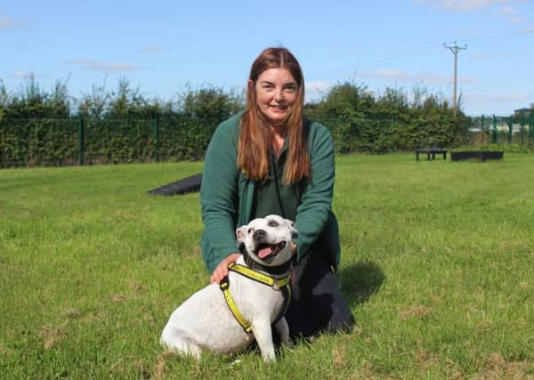 The Wymeswold-based Dogs Trust Loughborough is looking to rehome this 15-year-old Staffie called Lucy - the oldest Staffie staff have ever had to find a new home for. She is pictured here with canine carer Laura Parker EMN-190918-113136001