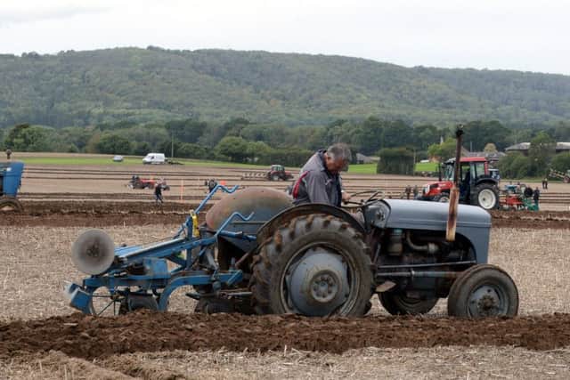 ks180462-7 Duncton Ploughing Match phot kate
Ploughing in progress..ks180462-7 SUS-180922-220232008