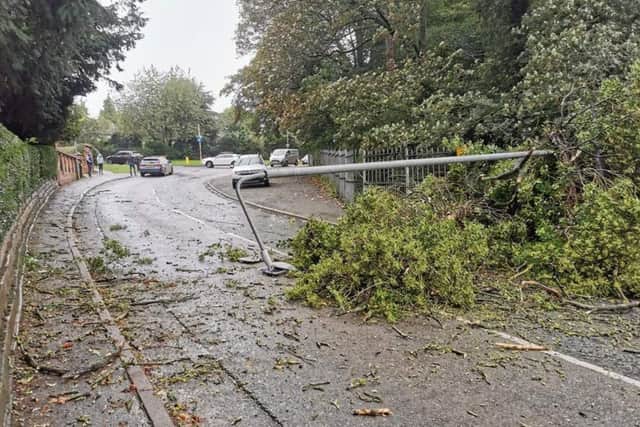 The fallen tree and street light which dropped on a car being driven up Ankle Hill in Melton EMN-190110-174637001