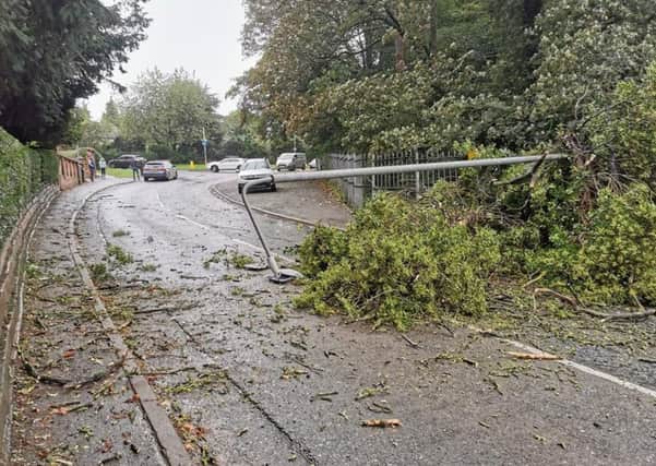 The fallen tree and street light which dropped on a car being driven up Ankle Hill in Melton EMN-190110-174637001