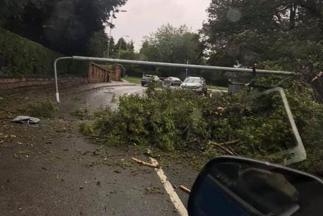 The fallen tree and street light which dropped on a car being driven up Ankle Hill in Melton EMN-190110-174648001