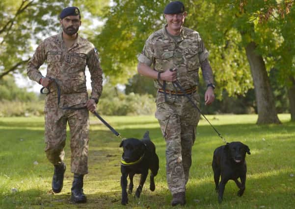 British and Pakistani Army dog handlers, Captain Shoaib (left) and Corporal Stewart Watson exercise their dogs during the training course in Melton
Photographer:
Corporal Mark Larner RLC

10/10/2019 EMN-191021-122933001