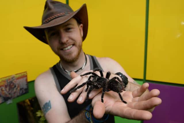 The new Bugtopia zoo at Rutland Water. Joe Mordawska with a bird-eating spider. Photo: Alan Walters MSMP-19-05-15-aw004 EMN-150519-162706001