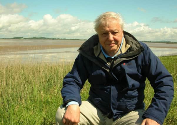 Sir David Attenborough. Photo: PA Photo/UKTV