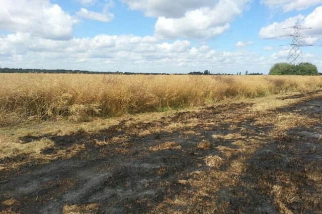 Field fire ANL-150724-114000001