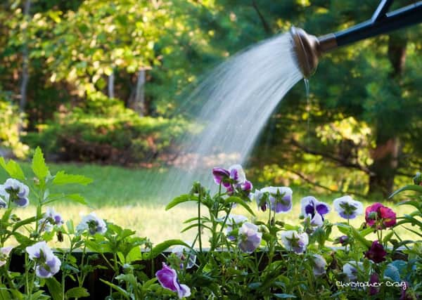 Advice and tips on garden security and insurance. Photo: Christopher Craig, via flickr.com/photos/kriztofor