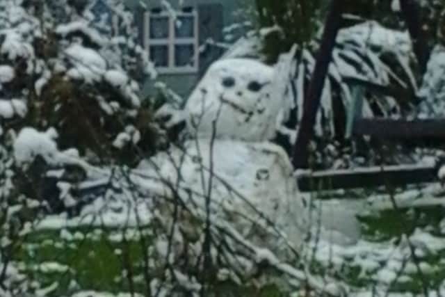 This photo sent in by 12-year-old Melissa Bird could be the first snowman Melton has seen in 2016 EMN-160120-103112001