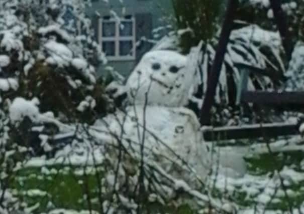 This photo sent in by 12-year-old Melissa Bird could be the first snowman Melton has seen in 2016 EMN-160120-103112001
