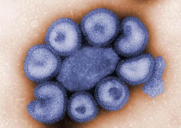 Swin flu vaccination warning