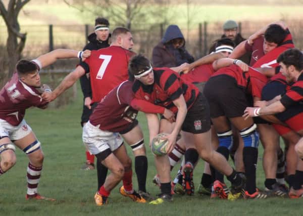 Action from Melton Colts' 24-10 defeat to Moseley in round four of the National Colts Cup EMN-160202-184038002