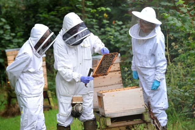 Beekeeping
