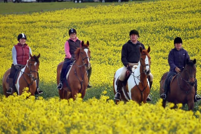 Riders taking part in the Belvoir Castle ride for Macmillan 
PHOTO: Tim Williams