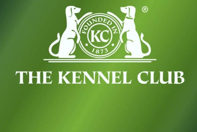 The Kennel Club logo EMN-160218-125237001