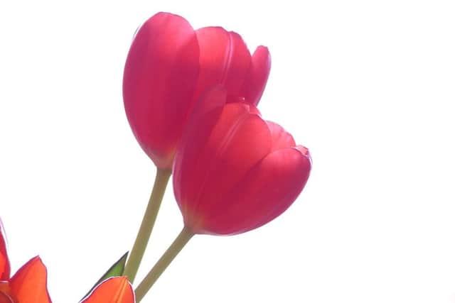 Send Mum a special Mother's Day message