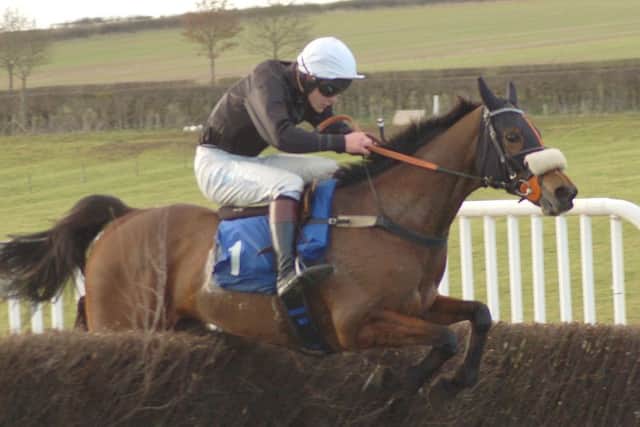 Winner of the Restricted Race at Garthorpe Races, Sam Davis -Thomas, riding 'Agent for Chaos', clears the last fence well ahead of the field