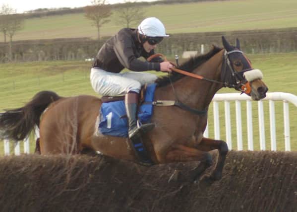 Winner of the Restricted Race at Garthorpe Races, Sam Davis -Thomas, riding  'Agent for Chaos', clears the last fence well ahead of the field
