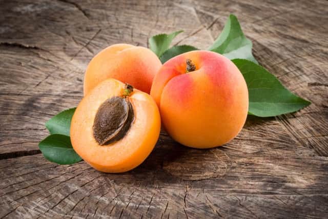 The Food Standards Agency have recalled packs of organic apricot kernels