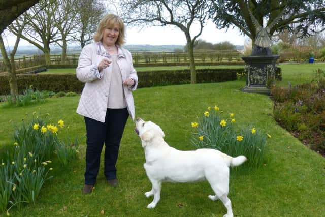 Annabelle Meek, of Thorpe Arnold, with her Labrador, Mabel, who is now on the road to recovery after undergoing ground-breaking open heart surgery at the Royal Veterinary College EMN-160316-135247001