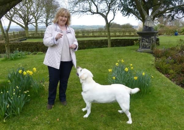 Annabelle Meek, of Thorpe Arnold, with her Labrador, Mabel, who is now on the road to recovery after undergoing ground-breaking open heart surgery at the Royal Veterinary College EMN-160316-135247001