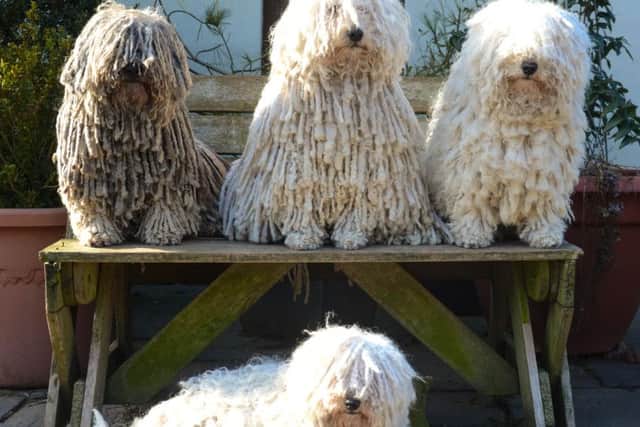 Seven-year-old white Puli Furge, who is seated in the centre on the bench in the photo, won the Best of Breed title. He is pictured on the bench with his son, Leonard, and fawn-coloured bitch, Peggy. Laying down in front of them is Furges daughter, Lily. EMN-160315-123701001