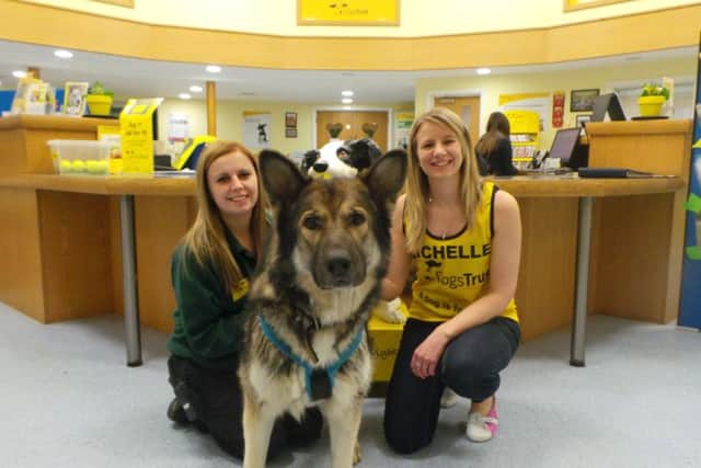 Michelle (right), is running the London Marathon in aid of Dogs Trust PHOTO: Supplied