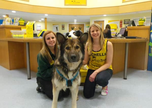 Michelle (right), is running the London Marathon in aid of Dogs Trust PHOTO: Supplied
