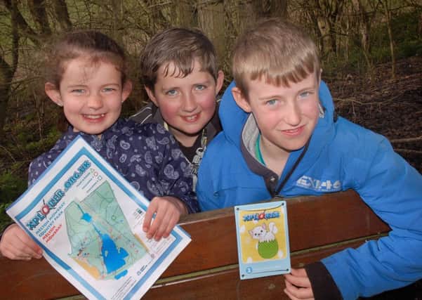 Charlotte Bartram and brother Daniel, and Liam Tew looking for markers in the park using their map 
PHOTO: Tim Williams