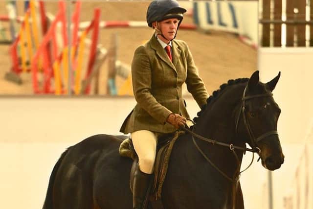 Classic Opera made the grade as a Sport Horse GB Graded Stallion EMN-160704-110838002