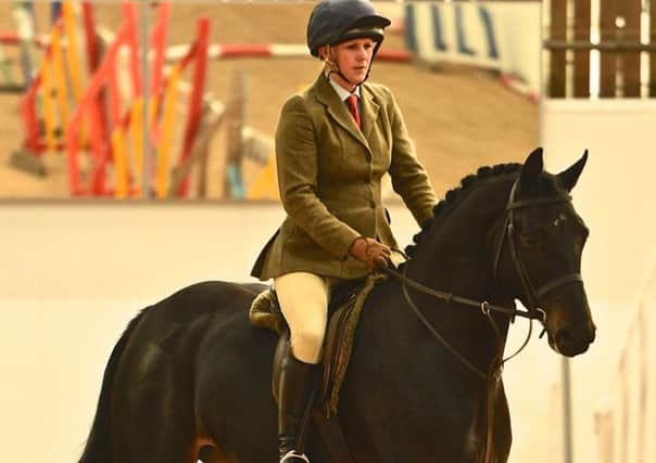 Classic Opera made the grade as a Sport Horse GB Graded Stallion EMN-160704-110838002