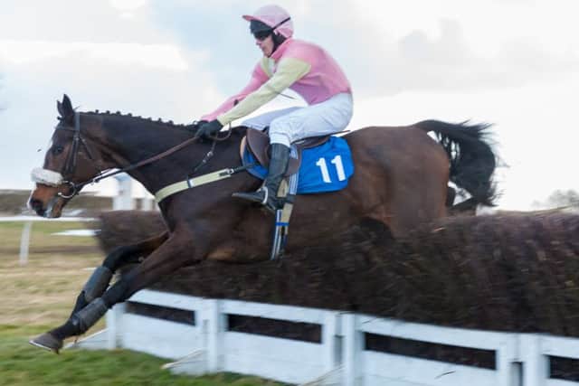 Mr Madeit in action at the Belvoir Hunt Point To Point meeting at Garthorpe last month EMN-160420-095249002