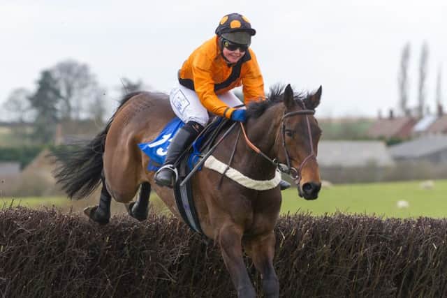 Palypson De Creek is unbeaten in two seasons EMN-160420-095237002
