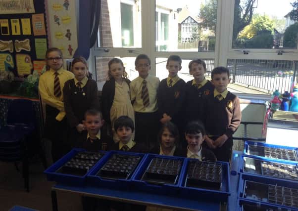 Children at St Francis Primary School will plant seeds that have been in space 
PHOTO: Supplied
