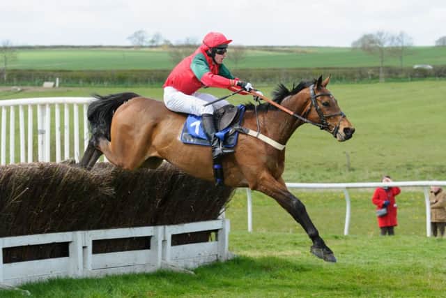 Tom Chatfeild-Roberts (L'ELDORADO) on their way to victory in the Gathorpe Hunts Club Members race EMN-160426-182146002