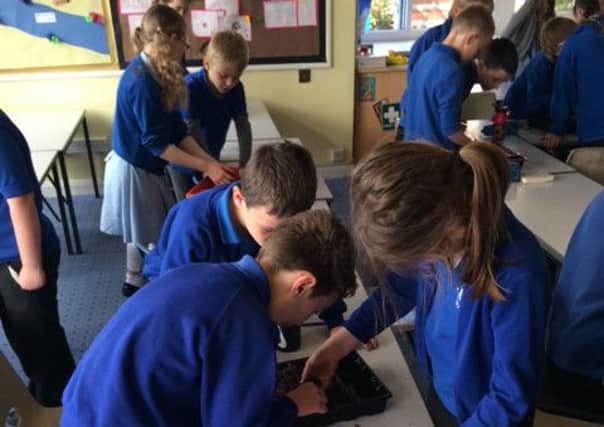 Children at Old Dalby Primary School will plant seeds that have been into space  PHOTO: Supplied