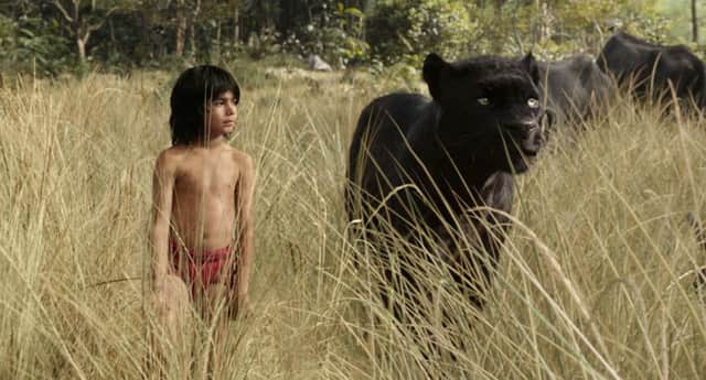 The Jungle Book. Mowgli (Neel Sethi) and Bagheera (voice of Ben Kingsley). 
PHOTO: PA Photo/Disney