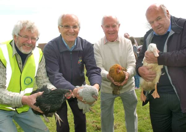 Rotary District Govenor Geoff Blurton (2nd left) gets set to release the hens and ducks with fellow Rotarians John Clayton, Keith Yates and David Morris 
PHOTO: Tim Williams