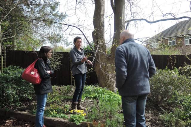Gardner Christina Moulton shows some visitors the Tulip Tree leaves which are just coming out at Tresillian House PHOTO: Supplied