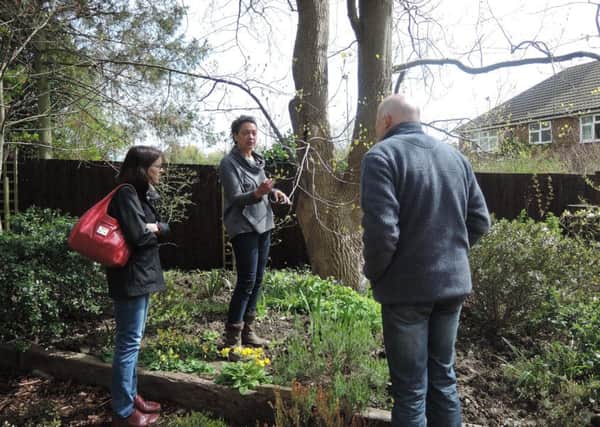 Gardner Christina Moulton shows some visitors the Tulip Tree leaves which are just coming out at Tresillian House  PHOTO: Supplied