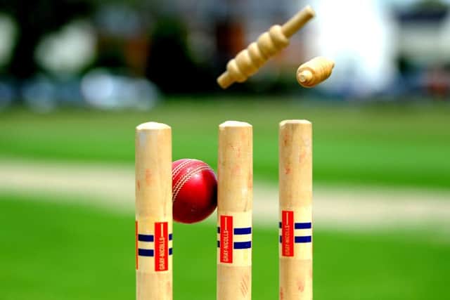 Cricket