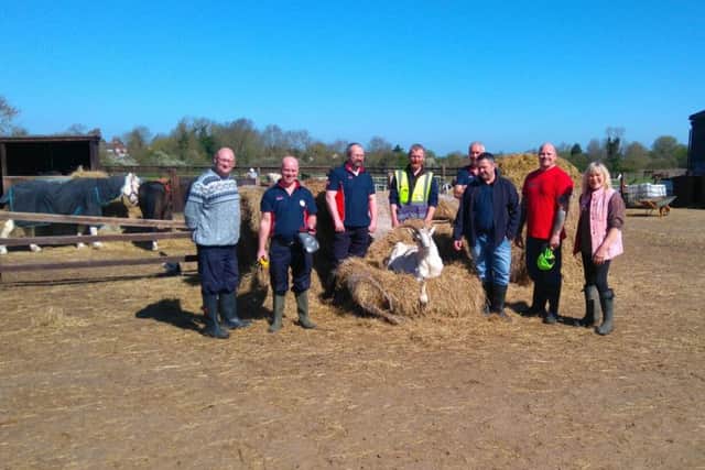 Tesco maintenance workers help out at Pablo's Horse Sanctuary PHOTO: Supplied