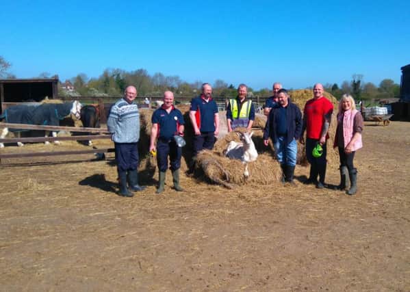 Tesco maintenance workers help out at Pablo's Horse Sanctuary PHOTO: Supplied