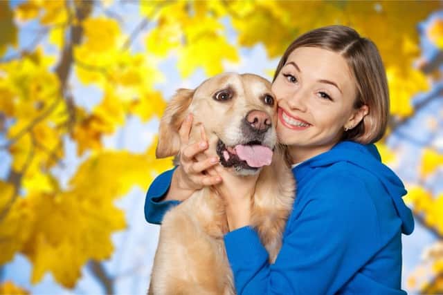 Dogs don't like hugs say reasearchers