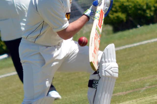 Cricket