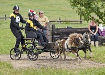 Midlands Carriagedriving
PHOTO: Supplied