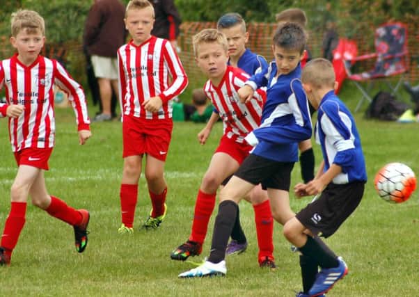 Asfordby Colts Under 9s (in blue kit) in match action at their home tournament EMN-160615-092947002